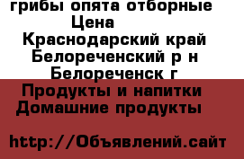 грибы опята отборные › Цена ­ 300 - Краснодарский край, Белореченский р-н, Белореченск г. Продукты и напитки » Домашние продукты   